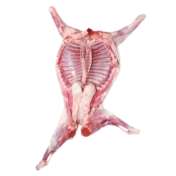 carne de cabrito carne de cabrito don guando