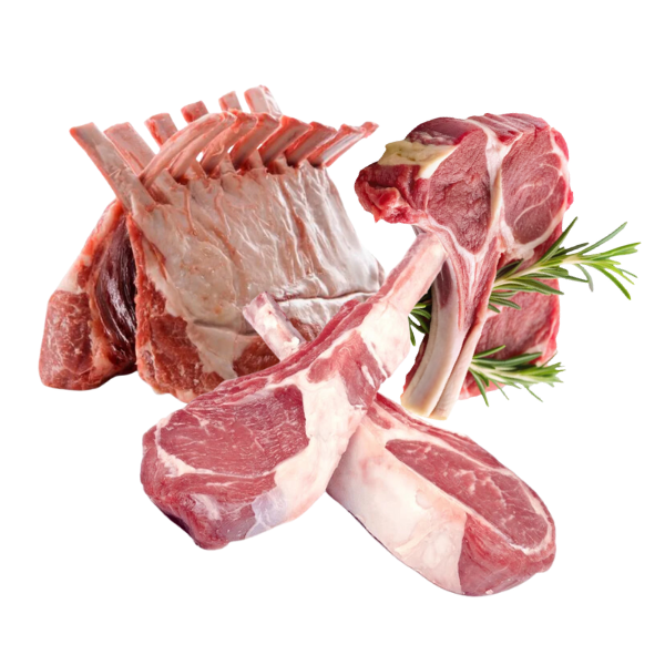 carne de cordero carne de cordero
