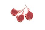 Tomahawk Cordero nacional