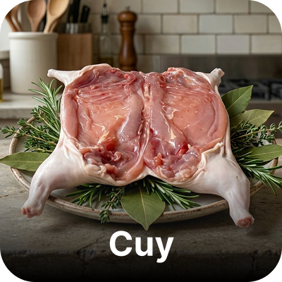 CARNE DE CUYES DON GUANDO
