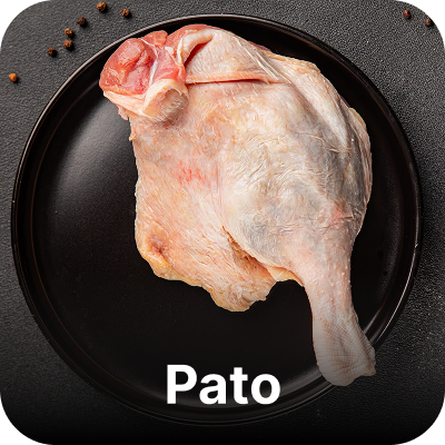 carne de pato